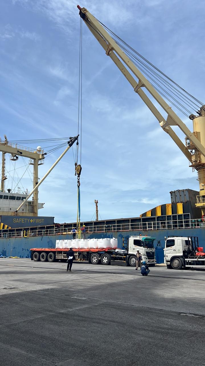 PAL cargo movement documentation near port crane